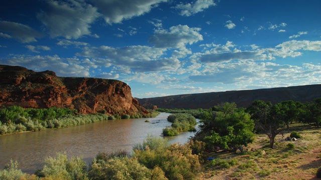 san juan river utah rafting vacation trips rafting trips