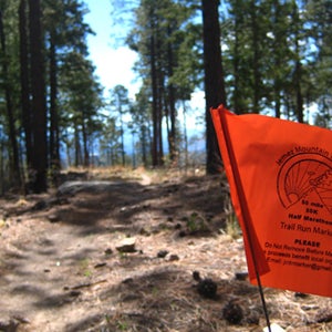 trail racing training