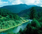 Rogue River