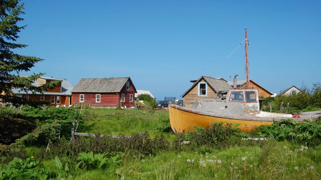 homer alaska fishing sailing hiking