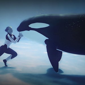 blackfish movie documentary tim zimmerman orcas seaworld dispute argument