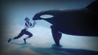 blackfish movie documentary tim zimmerman orcas seaworld dispute argument