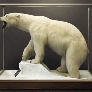 wild ones jon mooallem