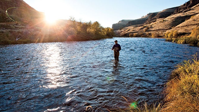 adult adventure afternoon beauty beauty in nature bend Cascade Range copy space daytime Deschutes River dry fish fishing fly fishing front view light mountain natural North America one one person Oregon Pacific Northwest Pacific States people sports steelhead sunshine trout USA waders water