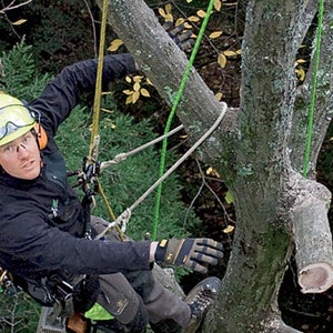 Arbor One Buckingham Ed Carpenter Ergovation Freesolo Photography. www.frees NEISA Sterling Sterling Rope VT Vermont Youngstown Gloves arborculture arborist rope access arborist job find how apply
