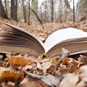 books fall releases best outdoors the abominable dan simmons