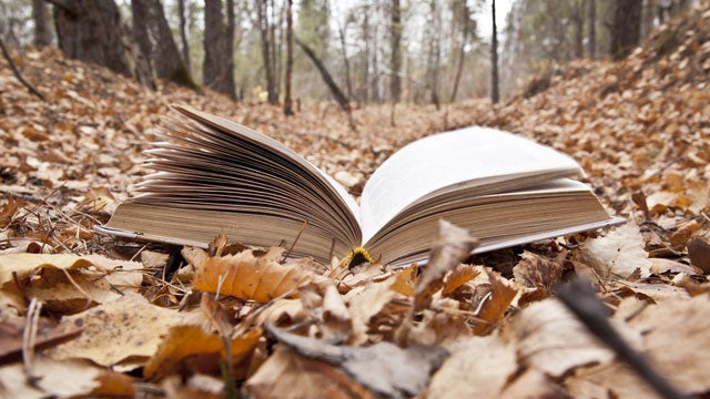 The Best New Fall Reads