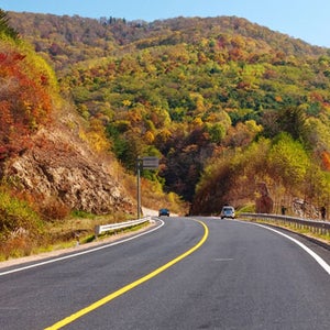 iverness california marin county big bend texas blue ridge georgia alternative thanksgiving road trip travel fall leaves road