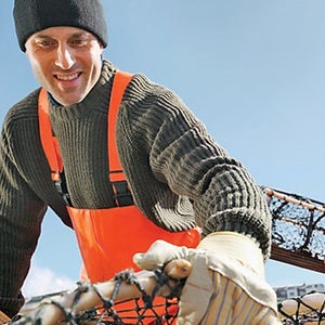 30s adult 40s adult adult bending carrying Caucasian ethnicity clear sky clothing confidence cooperation copy space coworker daytime drudgery employee facial expression fishing boat fishing equipment half-length happiness lifting loading and unloading lobster trap male marine life gatherer men mid-adult middle-aged outdoors overworked people pride profile protection protective clothing satisfaction side view sky smiling standing teamwork togetherness travel traveling two two people view from below watercraft waterproof working lobster work boat jobs apply how to