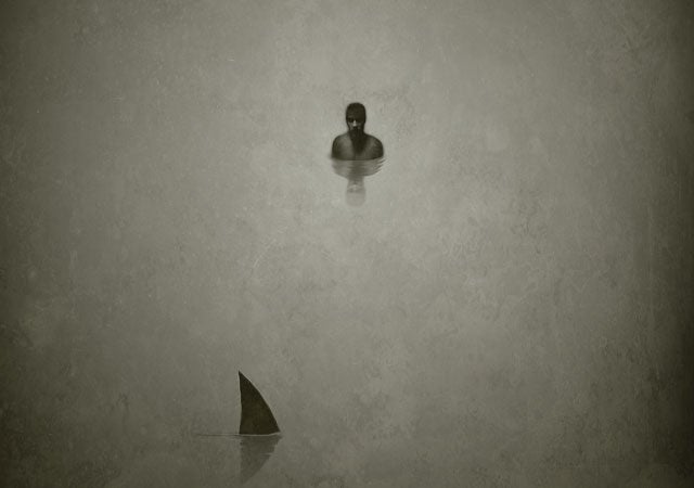 brett archibald surfer overboard survived at sea shark attack survival how to