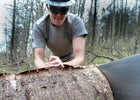 trail crew crosscut saw Tennessee forest