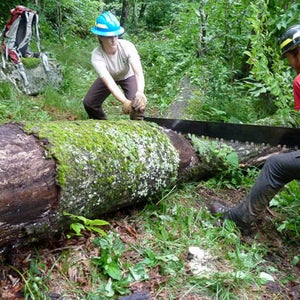 trail crew crosscut saw Tennessee forest