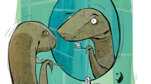 snake mouth black tiger