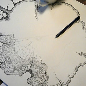 Preliminary tree ring drawings by Zosia Olenska for Niche Snowboard's Minx.