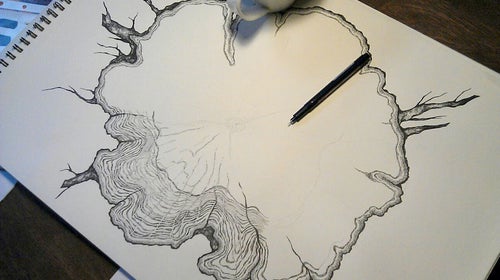 Preliminary tree ring drawings by Zosia Olenska for Niche Snowboard's Minx.