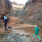 Hiking Negro Bill Canyon.