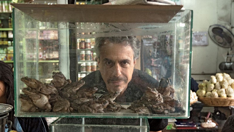 Chris Kilham looks through a tank with frogs in the section containing products of witches and shamans at the La Parrada market in Lima, Peru, on June 16th 2012.