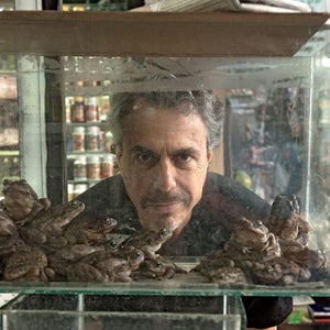 Chris Kilham looks through a tank with frogs in the section containing products of witches and shamans at the La Parrada market in Lima, Peru, on June 16th 2012.