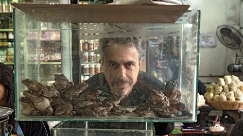 Chris Kilham looks through a tank with frogs in the section containing products of witches and shamans at the La Parrada market in Lima, Peru, on June 16th 2012.