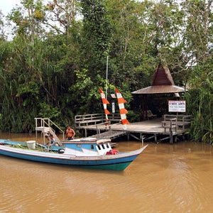 Rimba Orangutan Eco Indonesia