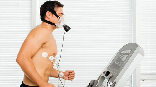 Are your muscles receiving enough blood and oxygen while you exercise? Take a VO2 max test to find out.