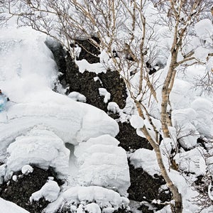 Hokkaido Japan Sean Pettit powder skiing
