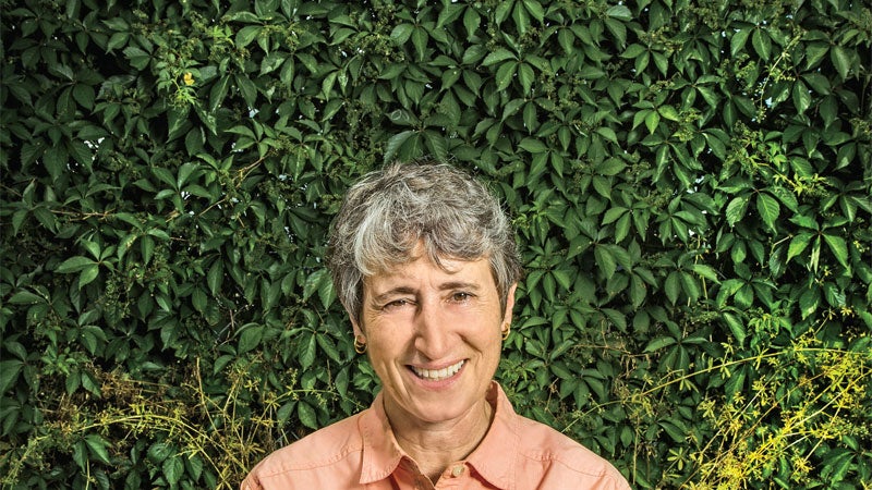 Sizing Up Sally Jewell