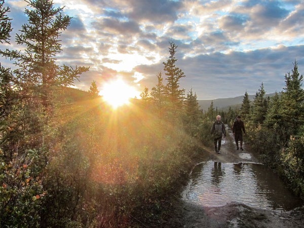 Bus Chris McCandless Bus 142 Te