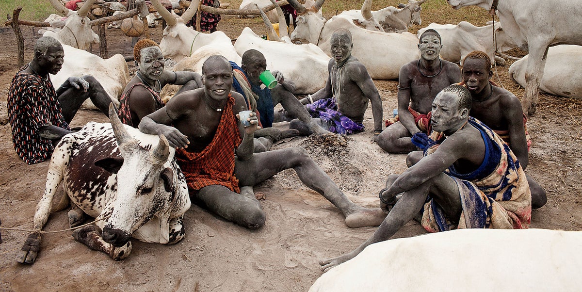 A Wild Country Grows in South Sudan