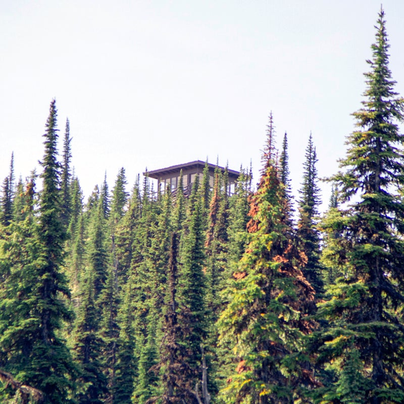 Shorty Peak Lookout is 46 miles from Bonners Ferry, in the Lower Kootenai River Area of the Idaho Panhandle National Forest, just south of Canada. Like Hornet Lookout, the Forest Service roads up to the trailhead made the Civic buck and sway. But we didn't stop moving until we saw a grizzly bear at the start of the 2.5-mile hike to the summit. It had no interest in us, however, and we trudged on. The trail gains 1,300 feet all the way up to 6,295 feet. Just below the rocky final push up, we saw Shorty.