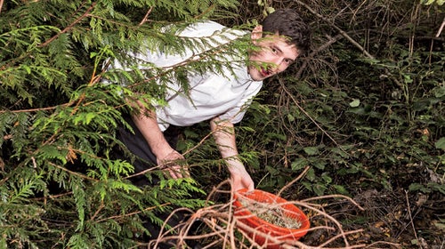 Noma willows inn blaine Wetzel local organic