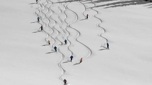 cat skiing vacation how cheap best