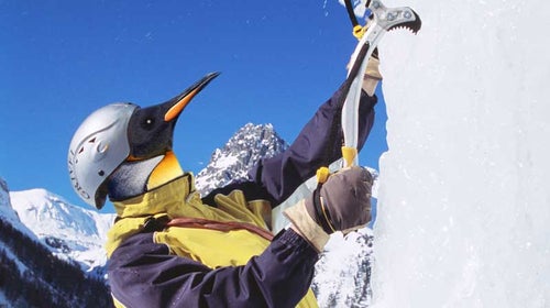 penguins climbing ice ice climber ice climber emperor penguins climate change ice environment environmental impact danger endangered