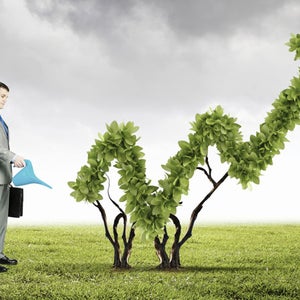 Big data is changing how scientists approach environmental problems.