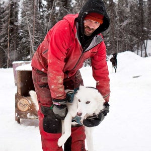 lance mackey iditarod alaska josh dean dogs sled alaska racing dog sled food