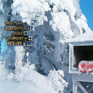 mad river glen bridger bowl skiing mount abram