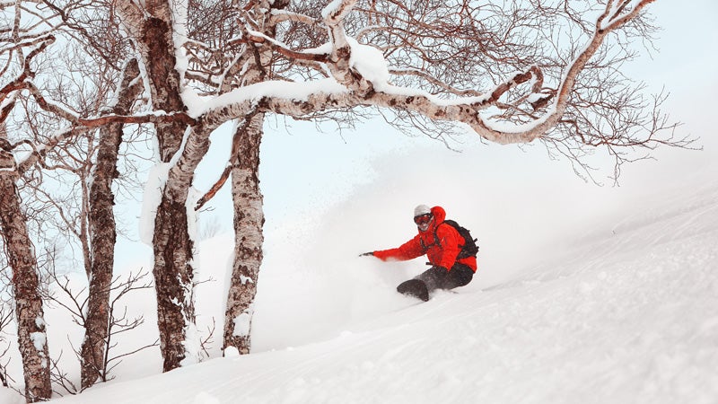Snowboarding Lives! (Long Live Snowboarding!)