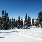 Steamboat's empty backcountry.