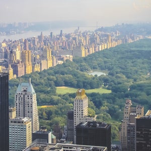 Sometimes the best adventures are the ones right under your nose.