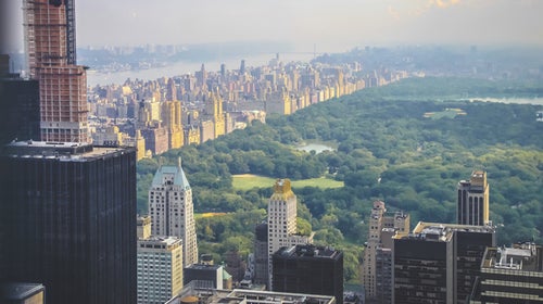 Sometimes the best adventures are the ones right under your nose.