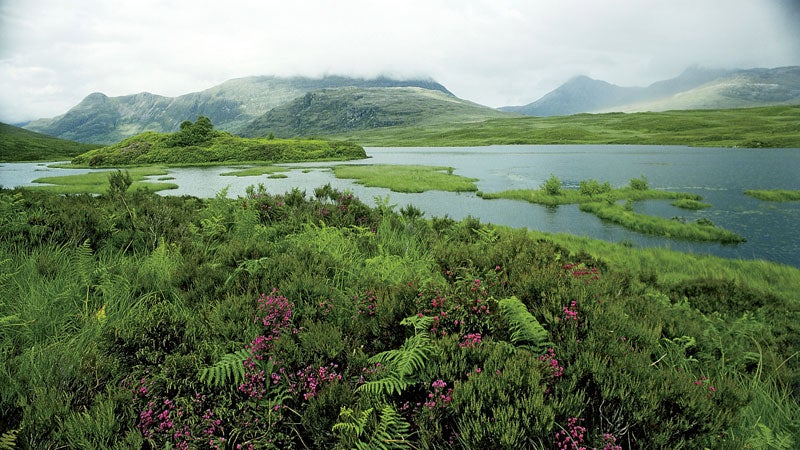 Torridon, Applecross, Wester Ross, Highland, Scotland