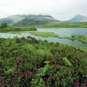 Torridon, Applecross, Wester Ross, Highland, Scotland