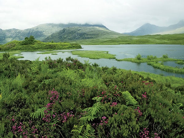 Torridon, Applecross, Wester Ross, Highland, Scotland