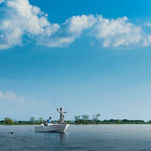 con mosca cortaderas dorado entre rios fishing fly golden litoral pesca