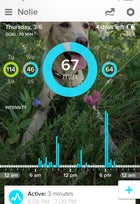 The Whistle Activity Monitor app