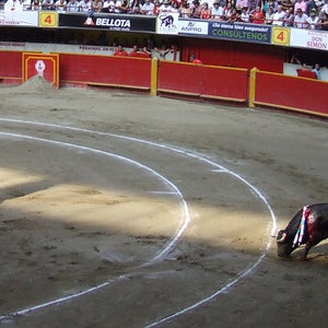 A ray of light peaks through the retractable roof of Medellin's Plaza de la Macarena as freshman matador Santiago Gómez stares down his bull.