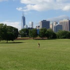 Bella on Governor's Island, NYC.