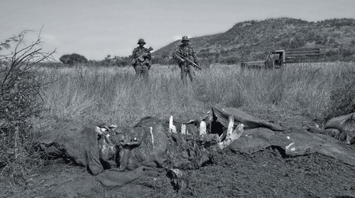 Members of a South African anti-poaching unit.