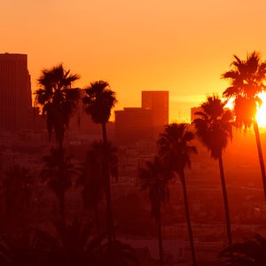 Los Angeles LA Skyline