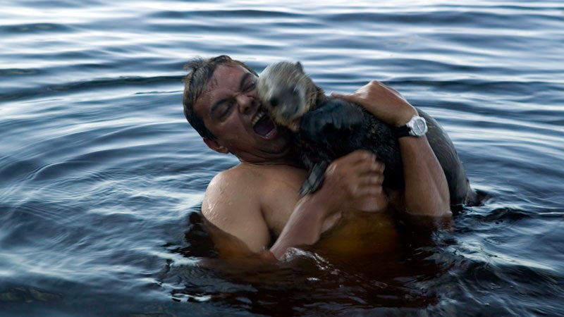 Are Sea Otters Dangerous  